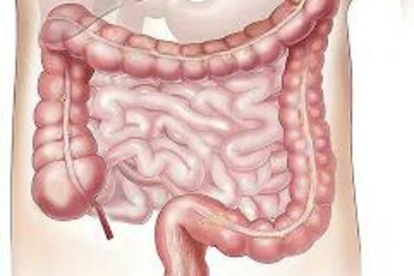 OVA HRANA RAZDIRE VAŠA CREVA: Gastroenterolozi je ne bi JELI NI DA IM ŽIVOT ZAVISI od nje, može biti OPAKA